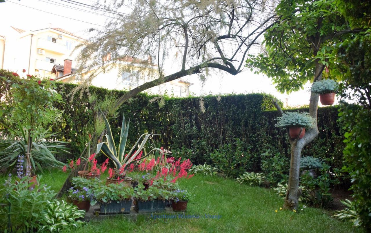 Apartman Wisteria Vranje Esterno foto