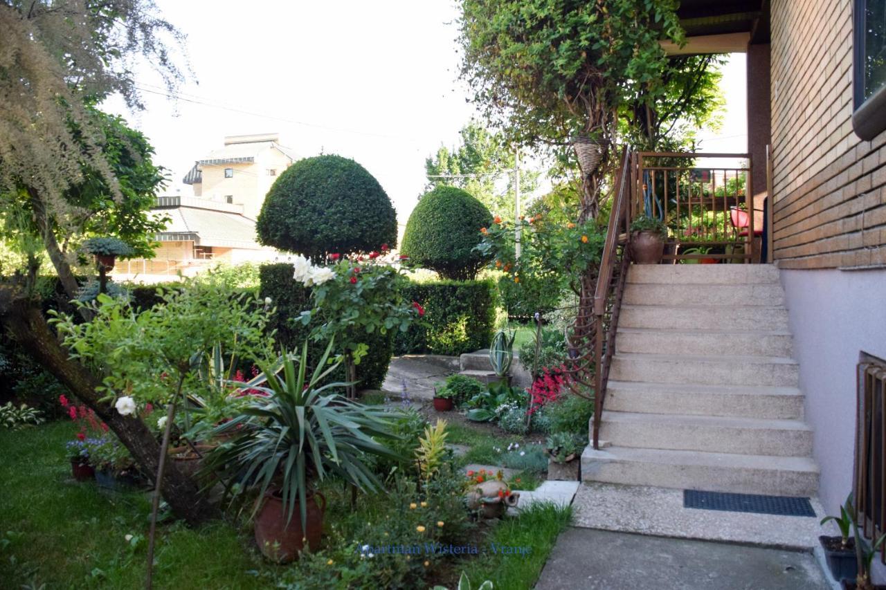 Apartman Wisteria Vranje Esterno foto