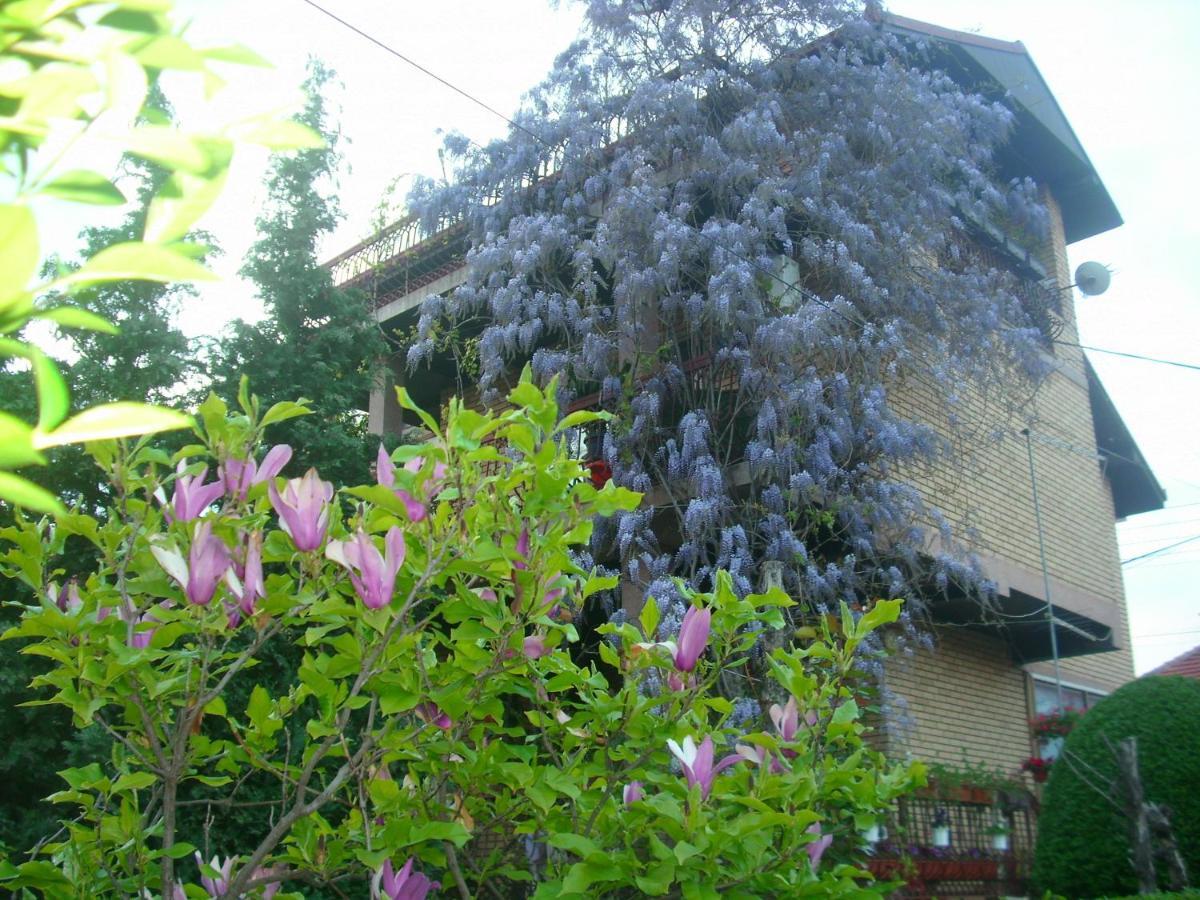 Apartman Wisteria Vranje Esterno foto