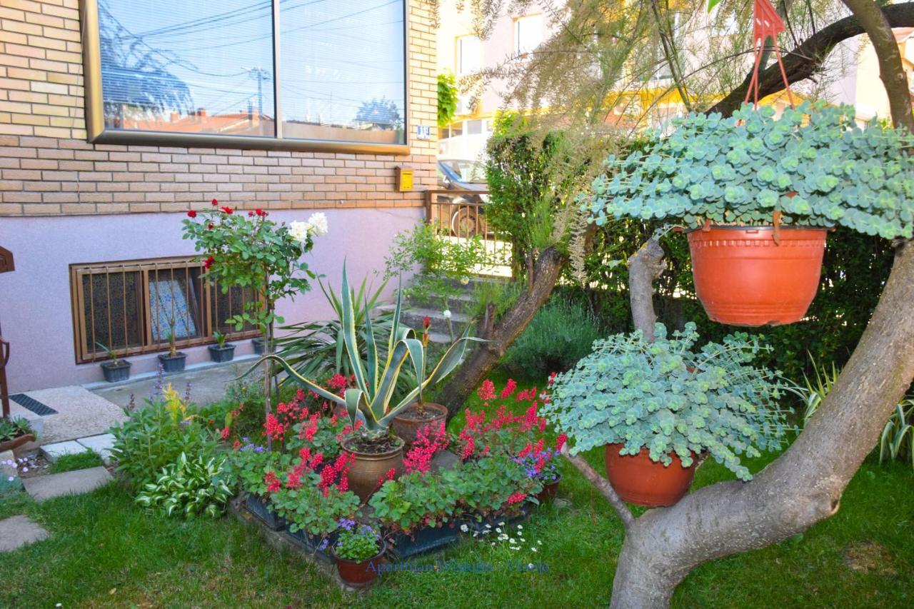 Apartman Wisteria Vranje Esterno foto