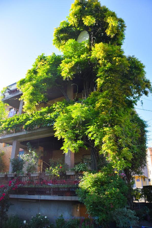 Apartman Wisteria Vranje Esterno foto