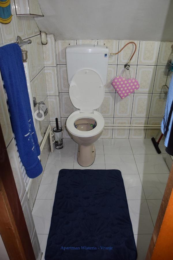 Apartman Wisteria Vranje Esterno foto