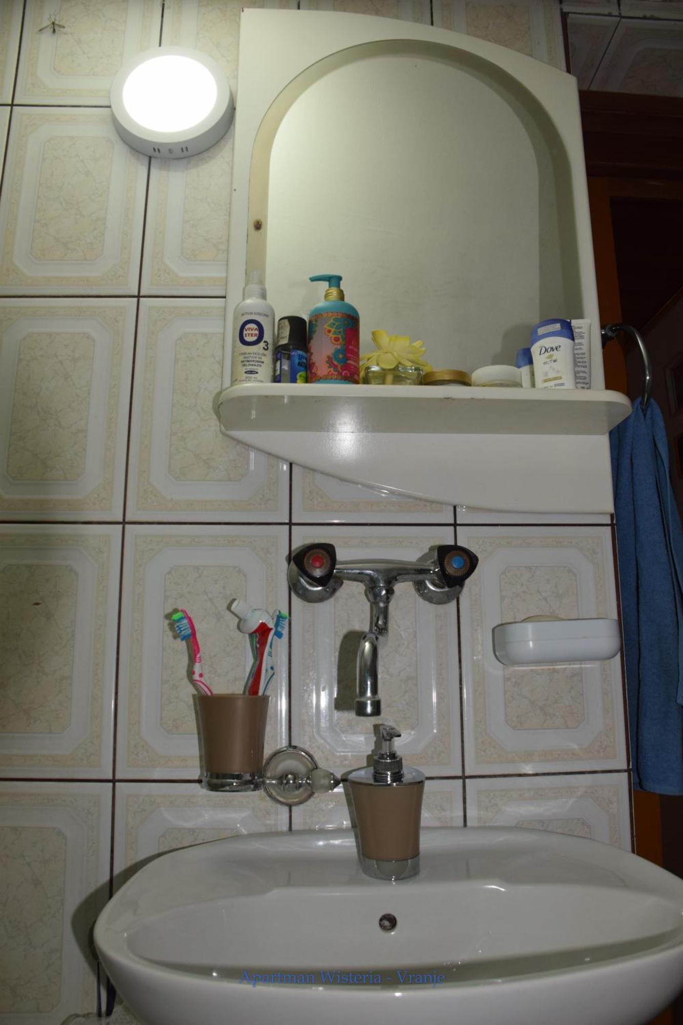 Apartman Wisteria Vranje Esterno foto
